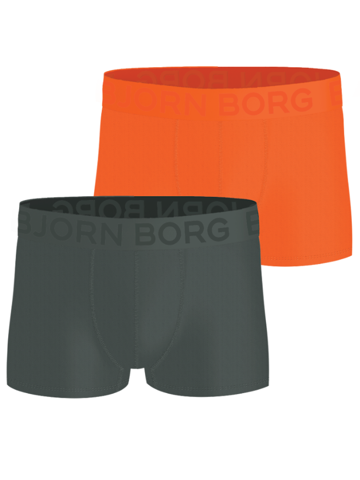 Sports Mesh Trunks 2-pack